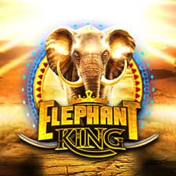 elephant king